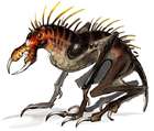 Cheetah Bug
