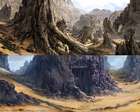 Desert