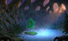 Environment