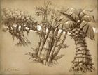 Flora
