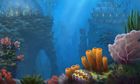 Reef