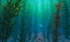 Underwater