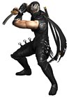 Ryu Hayabusa