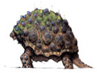 Adamantoise