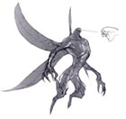 Aern