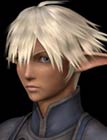 Elvaan Male Face 7