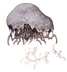 Gorger Art from Final Fantasy XI