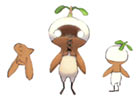 Mandragora