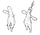 Sabotender
