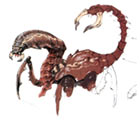 Scorpion