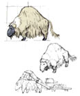 Sheep