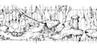Ancient Forest Third Area
