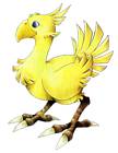 Chocobo