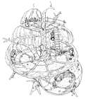 Forgotten Capital Shell Room Art from Final Fantasy VII