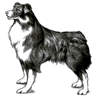 Angelo