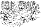 Beginner's Chocobo Forest