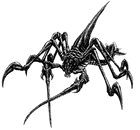 Grand Mantis