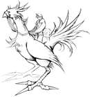 Squall Riding Chocobo