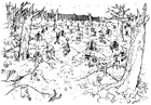 Trabia Garden Graveyard
