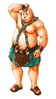 Bolgan