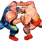 Raiden Versus Zangief