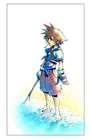 Sora on the Beach