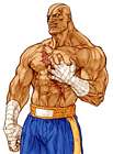 Sagat (Street Fighter)