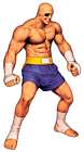 Sagat Artwork from Capcom vs. SNK 2