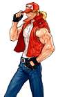 Terry Bogard (Fatal Fury)