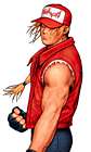 Terry Bogard (Fatal Fury)