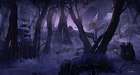 Forest Environment Art