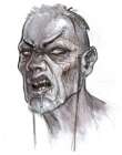 Flying Fox Face Concept Art