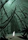Bamboo Forest