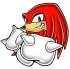 Knuckles Portrait