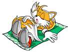 Tails Sleeping
