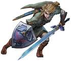 Link Guard Pose