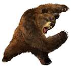 Kuma