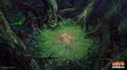 Death Forest