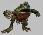 Bush Toad