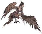 Harpy