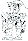 Amphisbaena Back