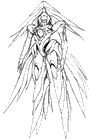 El Regulus Rough