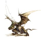 D'Tok Wyvern