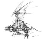 Wyvern Sketch