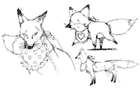Fox Sketches