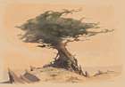 Tree of Life