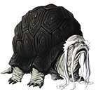 Genoh