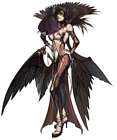 Draia