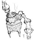 Saru (Unused Colossus) Concept