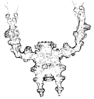Saru (Unused Colossus) Concept